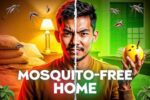 How to get rid of mosquitoes inside the house naturally