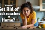 How to get rid of cockroaches in kitchen permanently